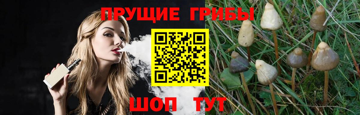 Галлюциногенные грибы ЛСД  Вход с VPN  Балашиха 